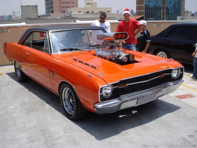 [P1050387[2].jpg]
