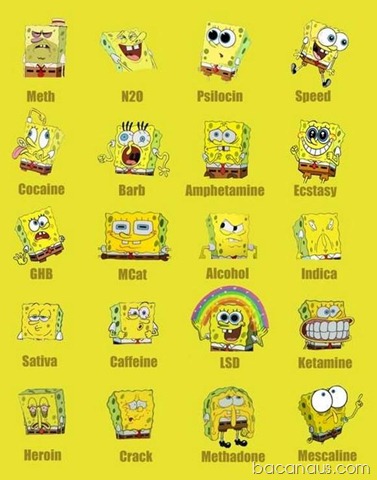 [collection-of-funny-photos12[2].jpg]