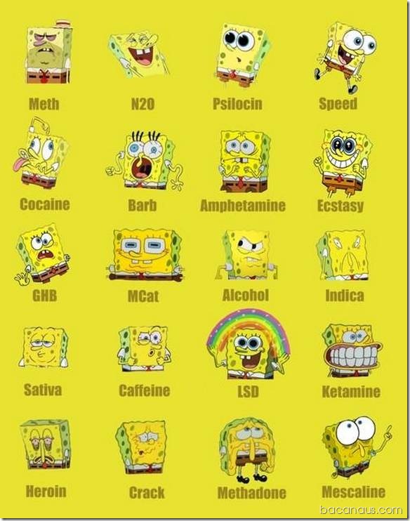 collection-of-funny-photos12