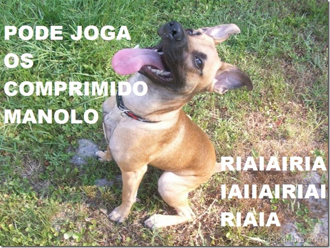 bacanaus-imagem-do-dia (9)