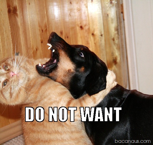 [bacanaus-imagem-do-dia (12)[2].jpg]