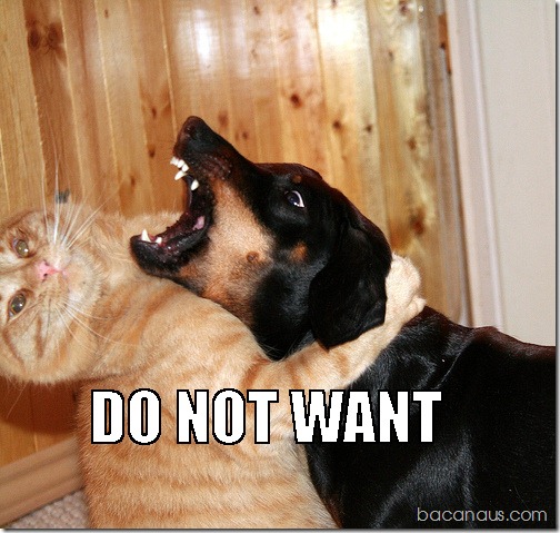 bacanaus-imagem-do-dia (12)