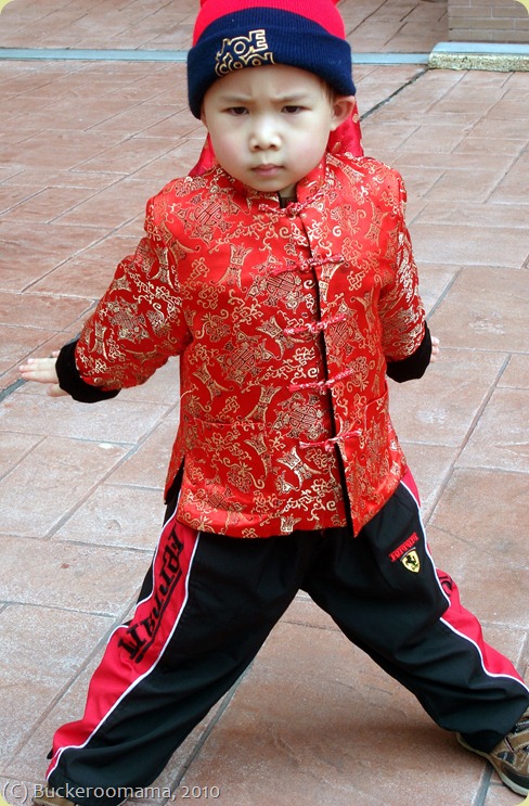 DSC06310 DSC06310