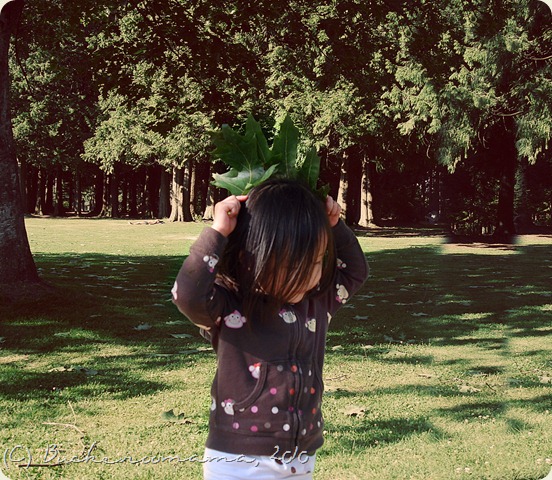 big leaf4 big leaf4