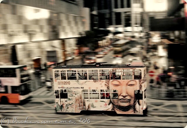 Tram Tram