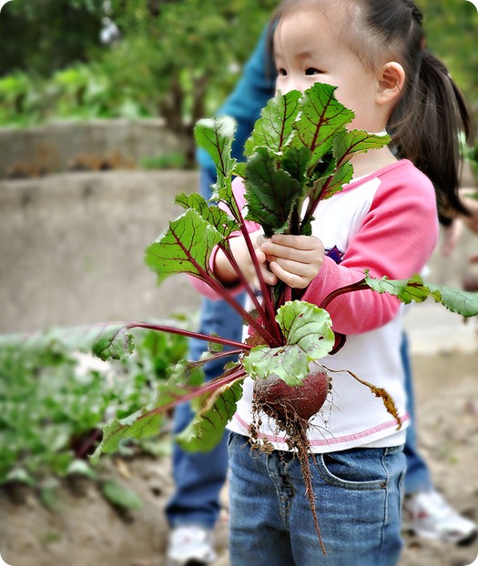 Zoe-Beets