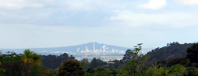 DSC_8942 DSC_8942