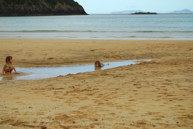 DSC_6987 DSC_6987