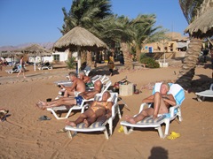 Rode Zee Jordanie (29) Rode Zee Jordanie (29)