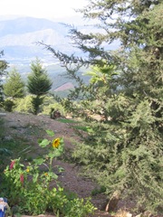 Kas Turkije (9) Kas Turkije (9)