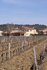 france peer 025.jpg
