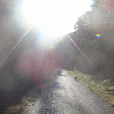 DSC02084.JPG