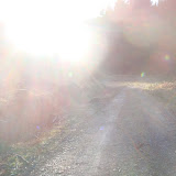 DSC02100.JPG