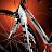 P1_1680x1050_3.jpg