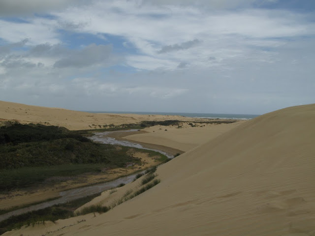 New Zealand - Te Paki