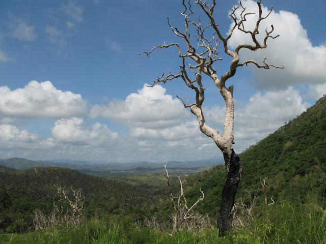 vue sur la valée de Ouegoa depuis le col d'Amos