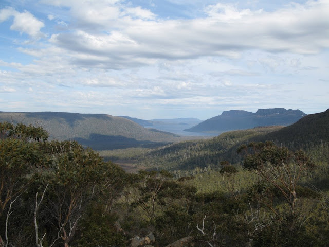 Lake St Clair - view from The Labyrinth