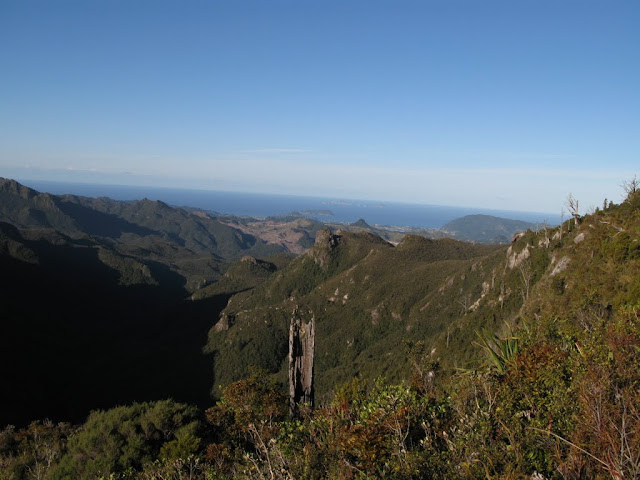Kaueranga trail
