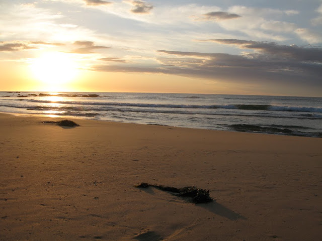 AU - Mimosa Rocks National Park - Aragunnu beach
