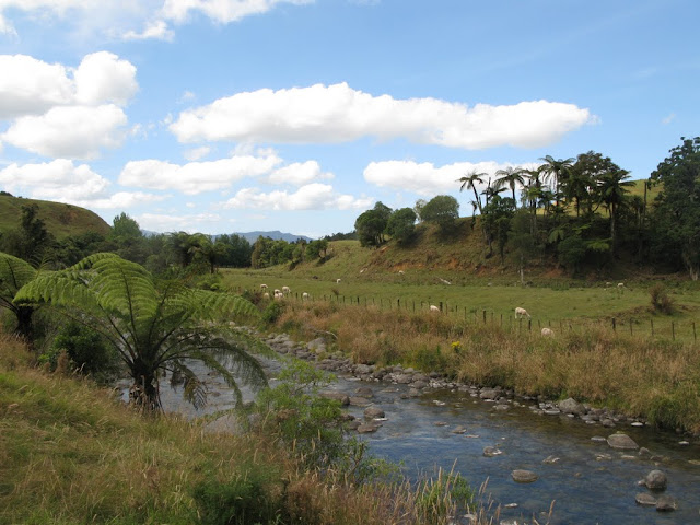 NZ - Kamai-Mamaku Forest Park  - Waitawheta Valley