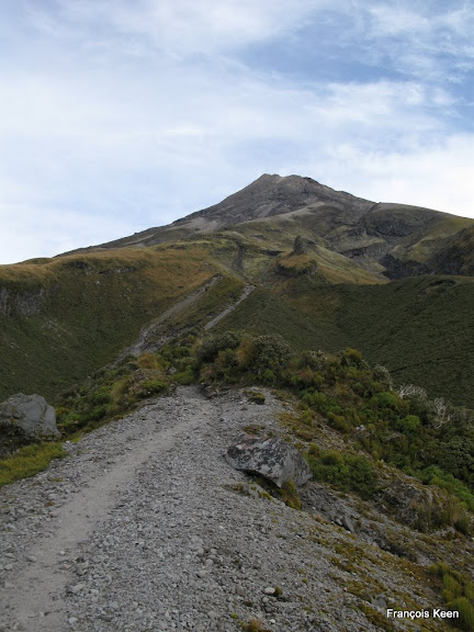 NZ - Mt Taranaki - view from Holy Hut Track