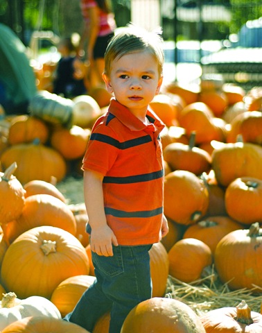 [lbjpumpkin2[3].jpg]
