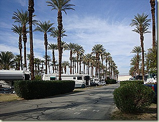 DSC02435