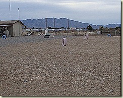 dogrun