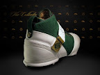 Nike Zoom LeBron V
