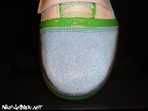 Dunkman Nike Zoom LeBron Soldier III with 3M 411 2009 04_38715