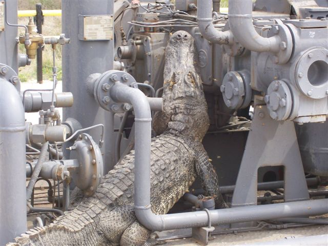 depressurization process depressurization process