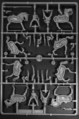 [Cavalry Frame Back[3].jpg]