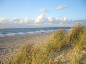 CIMG0978.JPG