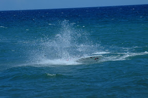 DSCF0077.JPG