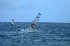 DSCF0202.JPG