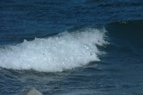 DSCF0230.JPG
