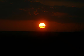 IMG_2543.jpg