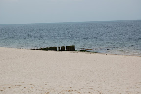 DSC_0051.JPG