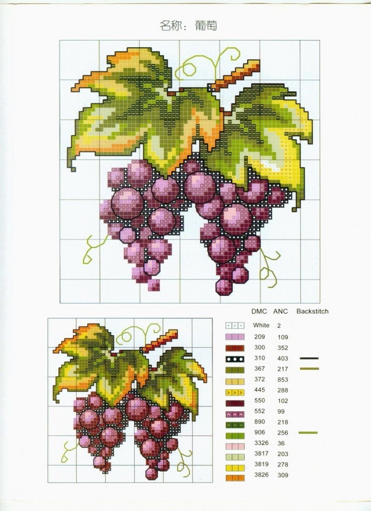 [grape[2].jpg]