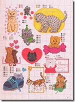 cani e gatti (4) cani e gatti (4)