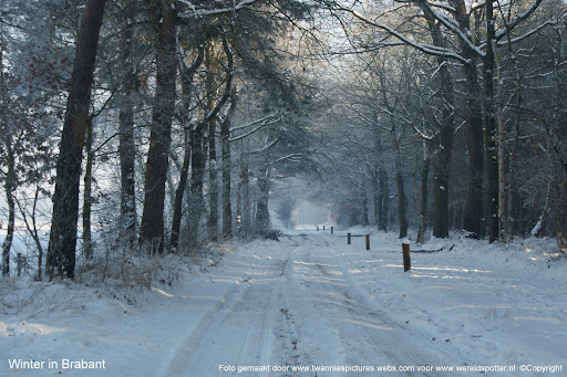 Winter in Brabant.jpg