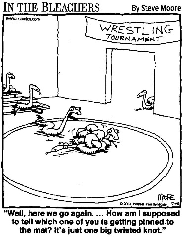 [wrestling_cartoon_4[4].jpg]