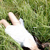 Hitomi Miyake - Bomb.tv ( 2 ) (39/39) (9)