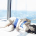 Mikie Hara - WPB-net (132)