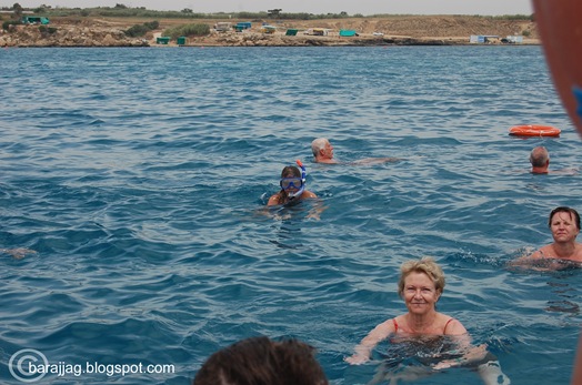 snorkel snorkel