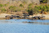 DSC_0389.JPG