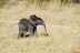 DSC_0268.JPG