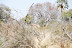 DSC_0465.JPG
