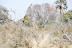 DSC_0467.JPG
