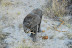 DSC_0014.JPG